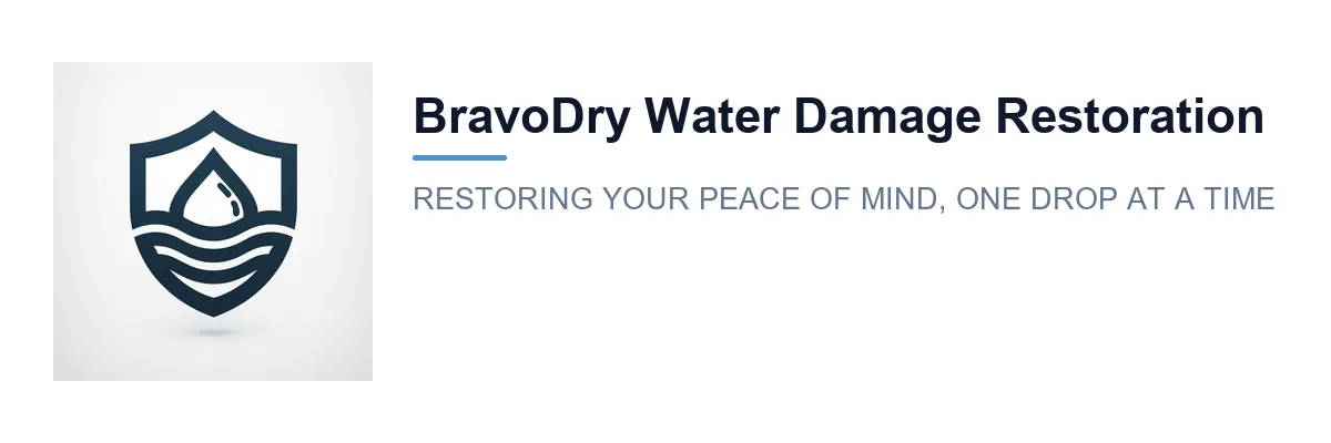 BravoDry Water Damage Restoration